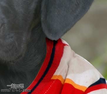 �������´��ڞg�[�DƬ