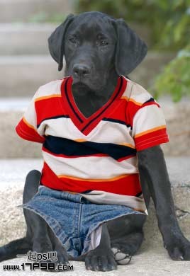 �������´��ڞg�[�DƬ