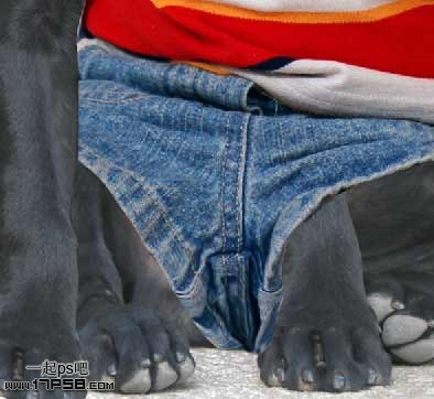 按此在新窗口瀏覽圖片